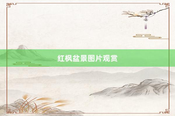 红枫盆景图片观赏