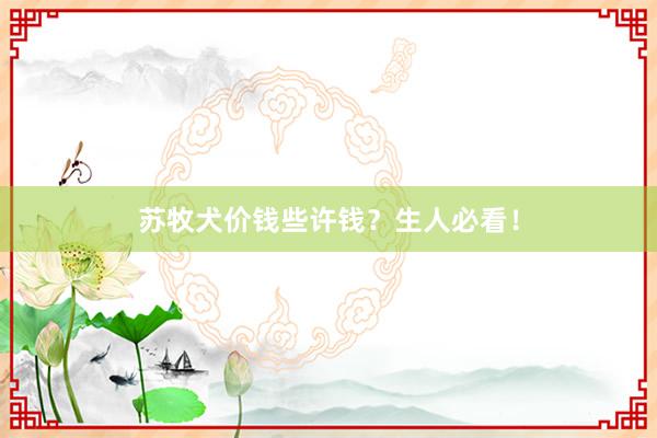 苏牧犬价钱些许钱?生人必看!