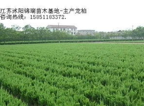 , 生產(chǎn)廠家, 價格