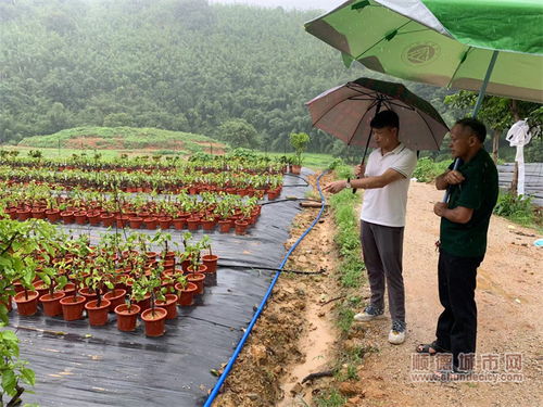 護(hù)航項目落地,共繪古水鎮(zhèn)鄉(xiāng)村振興美麗畫卷